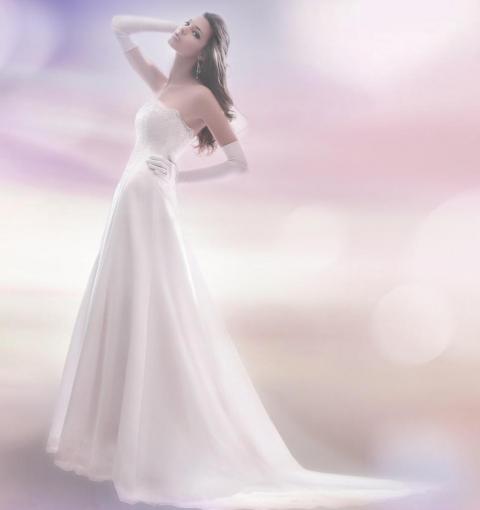 ElegÃ­ tu vestido terminado VII | Casamientos Online