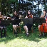 Musicos de Camara / Vals