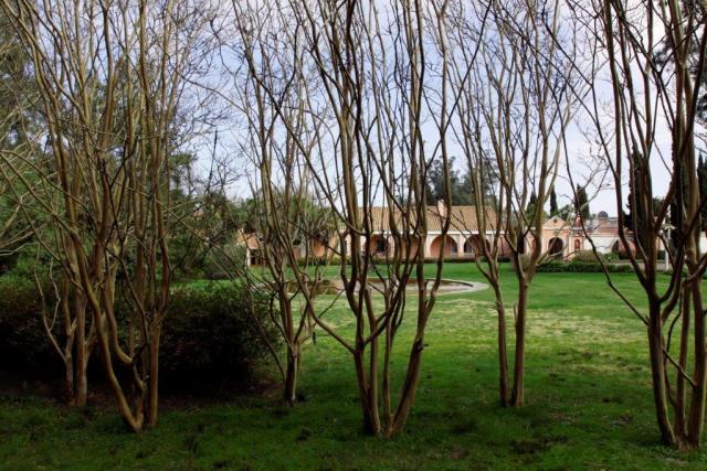 Estancia Santa Isabel | Casamientos Online