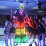 Imagen de Digital Lights