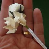 Souvenirs de origami