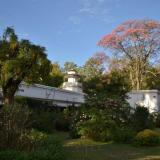 Estancia La Mimosa - Eventos