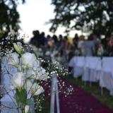 Estancia La Mimosa - Eventos