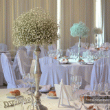 Imagen de Tres Lineas Eventos