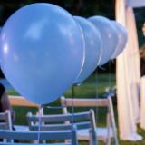 Tilos de Torcuato (Quintas y Estancias)