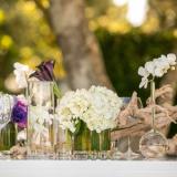 Tilos de Torcuato (Quintas y Estancias)