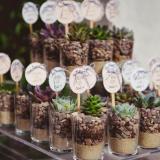 Tilos de Torcuato (Quintas y Estancias)