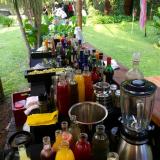 Samara Pilar Quinta para Eventos