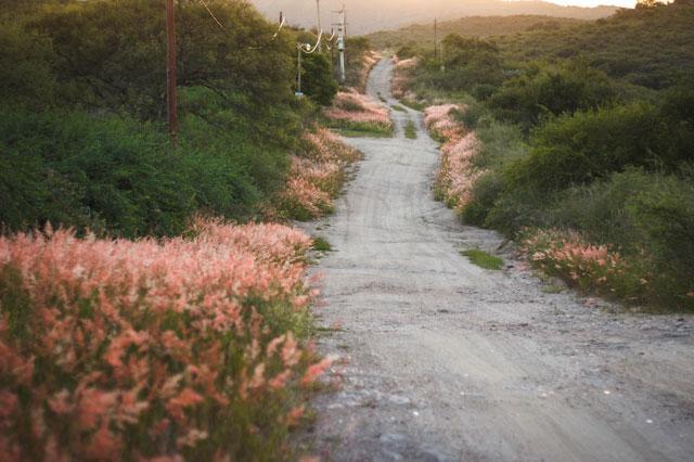 Aldea de los cocos (Quintas y Estancias)