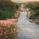 Aldea de los cocos (Quintas y Estancias)