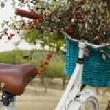 Aldea de los cocos (Quintas y Estancias)