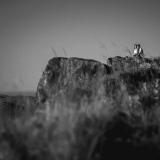 Imagen de Flo Vassallo Fotografía
