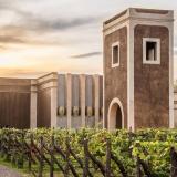 Bodega Los Toneles (Salones de Fiesta)