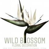 Imagen de Wild Blossom