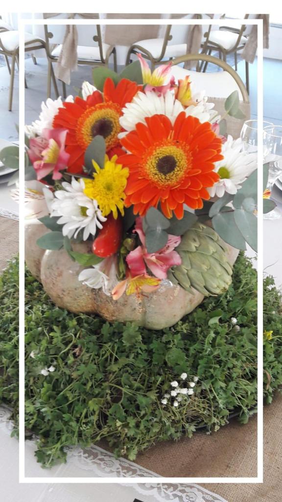 Complejo El Aleph (Quintas y Estancias)