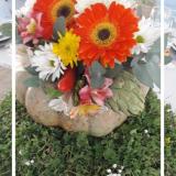 Complejo El Aleph (Quintas y Estancias)