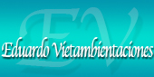 Logo Eduardo Vietambientaciones