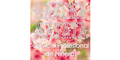 Logo Hakuna Matata - Servicio profe...
