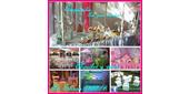 Logo Exquisita ambientaciones
